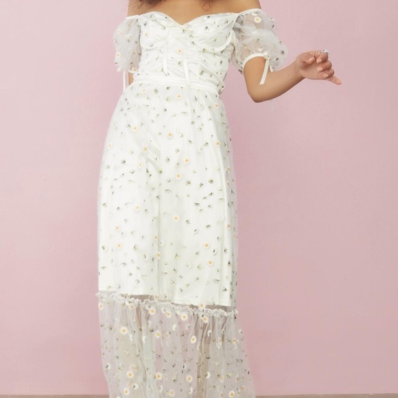 Dolls Kill Dresses & Skirts - Daisy Mesh Maxi Dress **stunning**